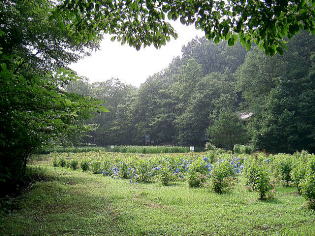 高村光太郎山荘