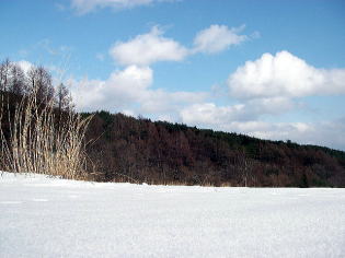 雪原風景