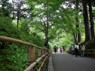 7月の中尊寺