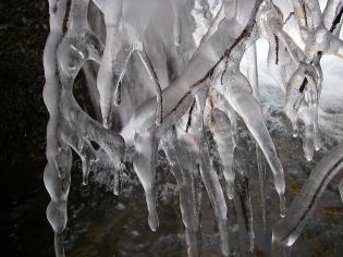 樹氷