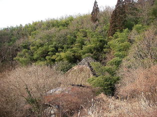 朽ち果てる廃屋