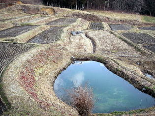 北限の棚田・山吹
