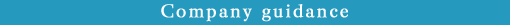 Company guidance