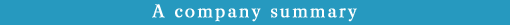 A company summary